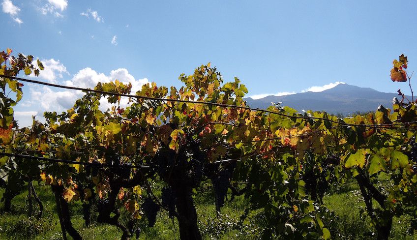 cosa fare alle gole dell alcantara - Degustazione vini etna