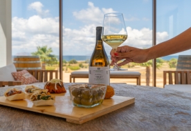 Degustazione vini Marsala - Tour enogastronomici Sicilia 