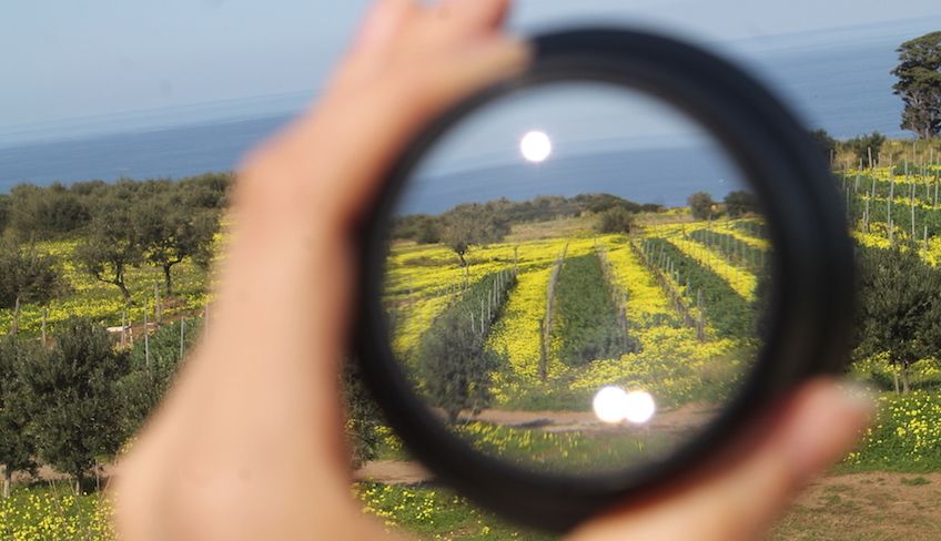 cantina messina - vino faro doc