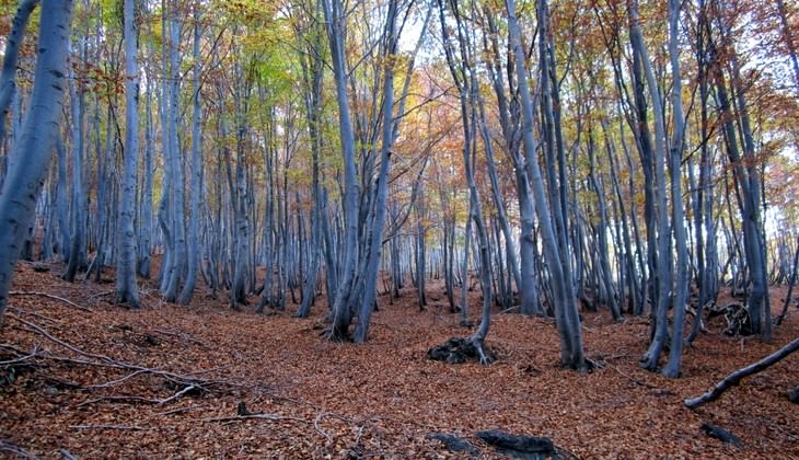 escursioni etna - trekking etna