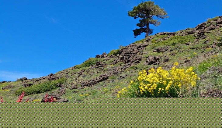 escursione sull'etna - visita a taormina